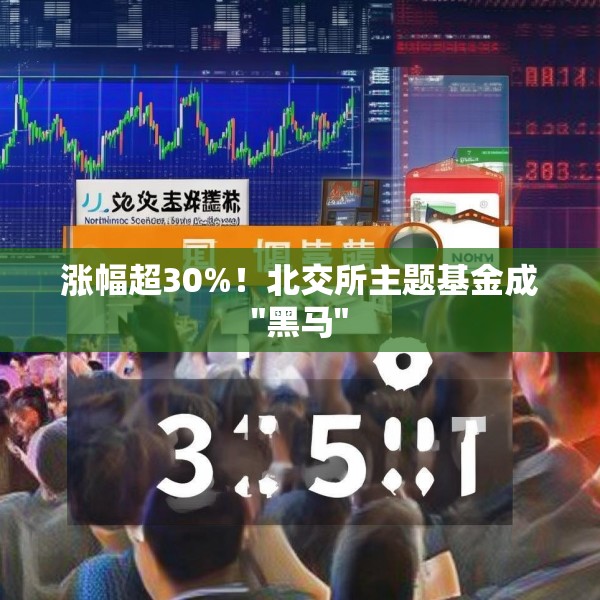 涨幅超30%！北交所主题基金成