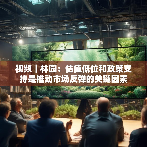 视频｜林园：估值低位和政策支持是推动市场反弹的关键因素