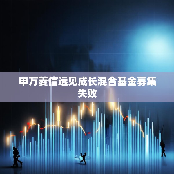 申万菱信远见成长混合基金募集失败