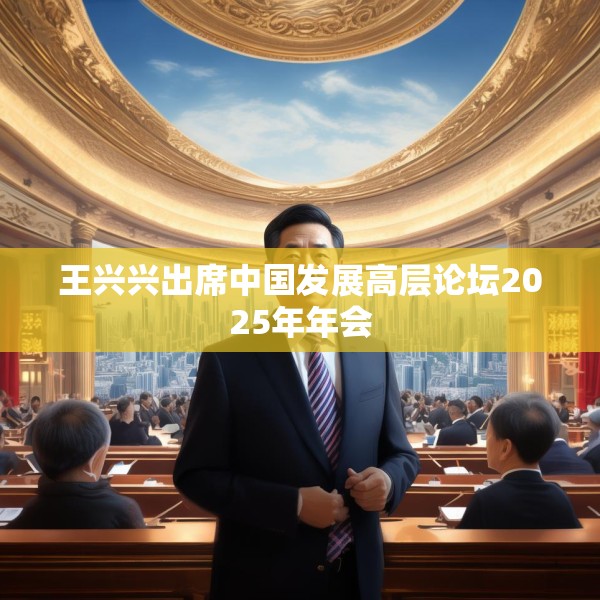 王兴兴出席中国发展高层论坛2025年年会