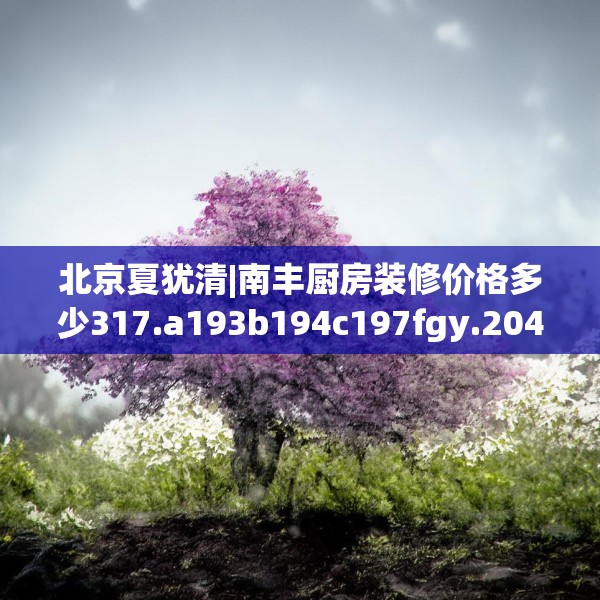 北京夏犹清|南丰厨房装修价格多少317.a193b194c197fgy.204cvcx