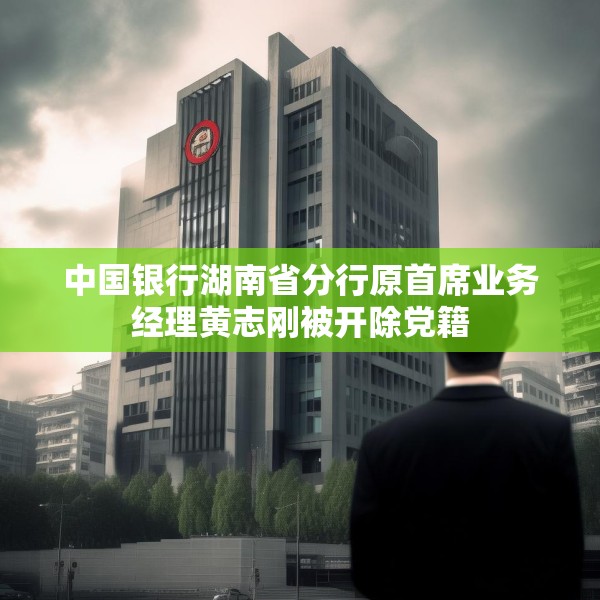 中国银行湖南省分行原首席业务经理黄志刚被开除党籍