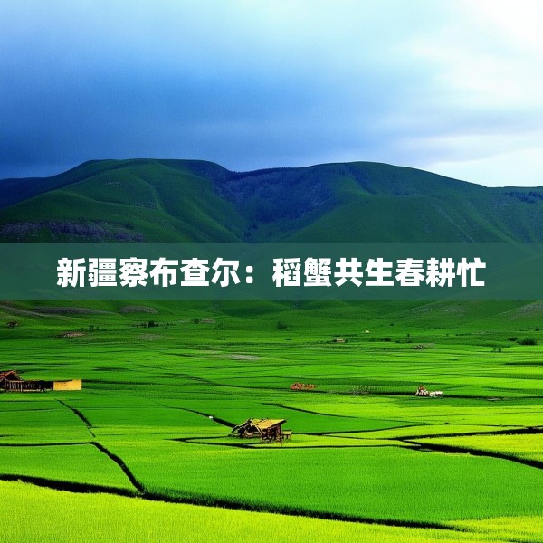 新疆察布查尔：稻蟹共生春耕忙