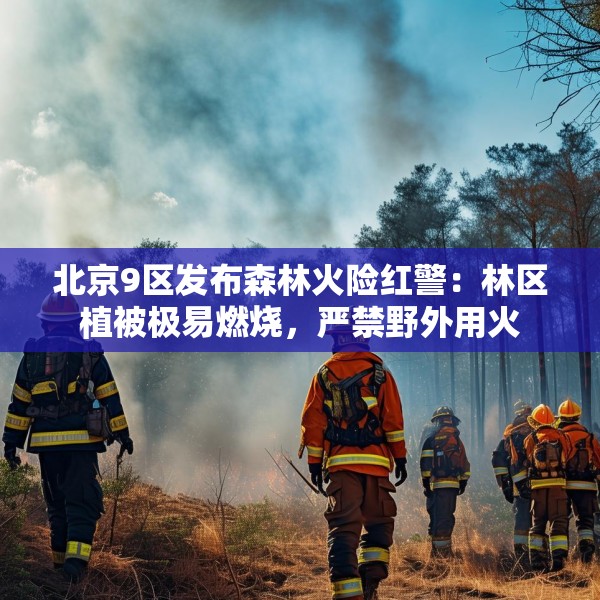 北京9区发布森林火险红警：林区植被极易燃烧，严禁野外用火