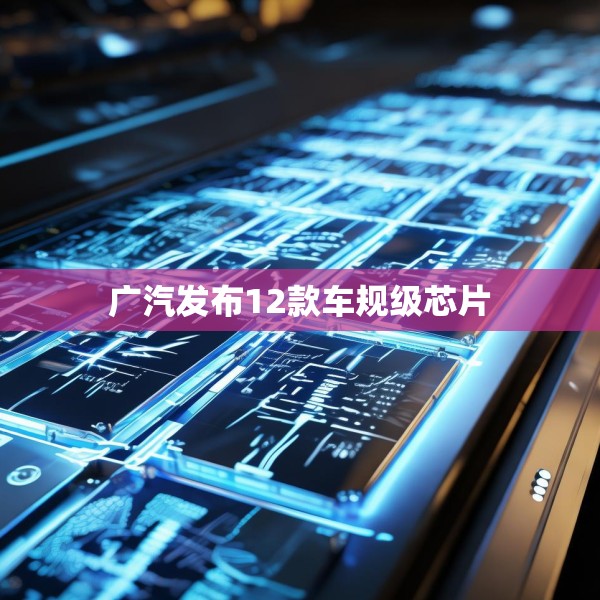 广汽发布12款车规级芯片
