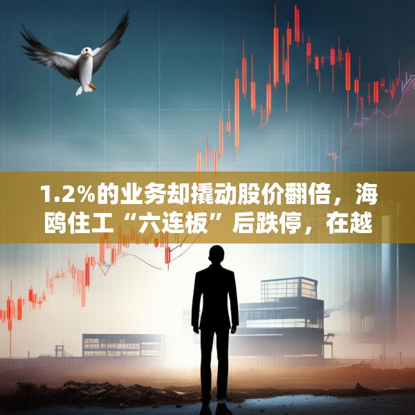 1.2%的业务却撬动股价翻倍，海鸥住工“六连板”后跌停，在越建厂能否扛住关税冲击？
