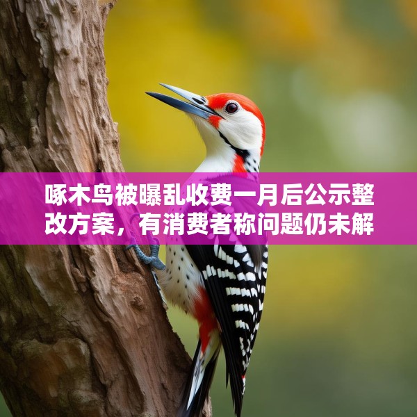 2025年4月15日 第6页