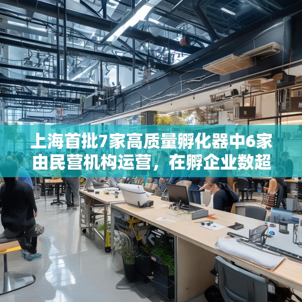 上海首批7家高质量孵化器中6家由民营机构运营，在孵企业数超200家