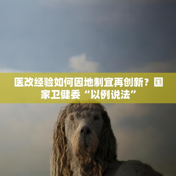 医改经验如何因地制宜再创新？国家卫健委“以例说法”