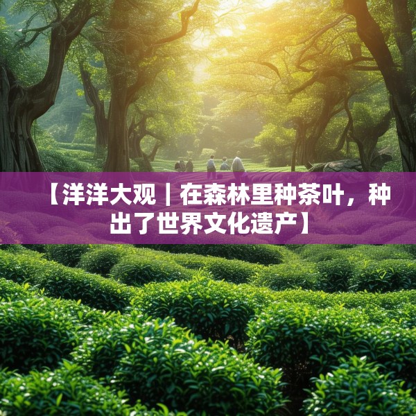 装修常识 第9页