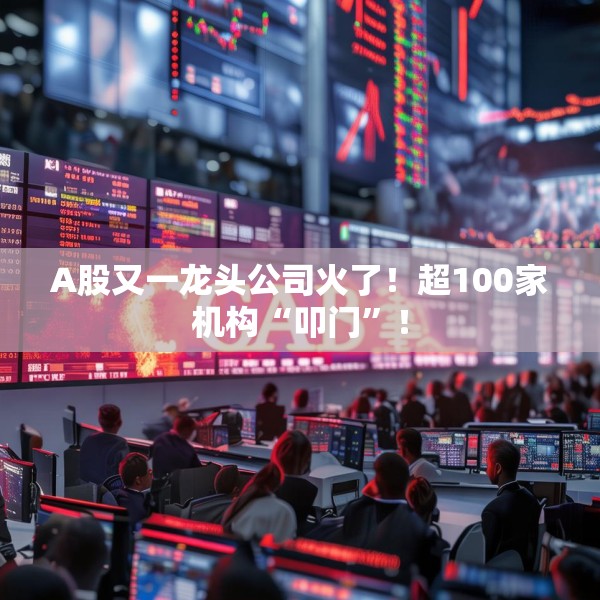 A股又一龙头公司火了！超100家机构“叩门”！