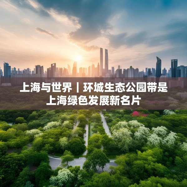 2025年5月12日 第13页