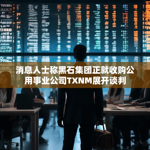 消息人士称黑石集团正就收购公用事业公司TXNM展开谈判