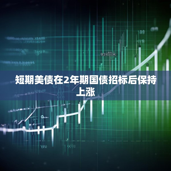 短期美债在2年期国债招标后保持上涨