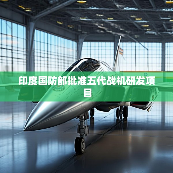 印度国防部批准五代战机研发项目