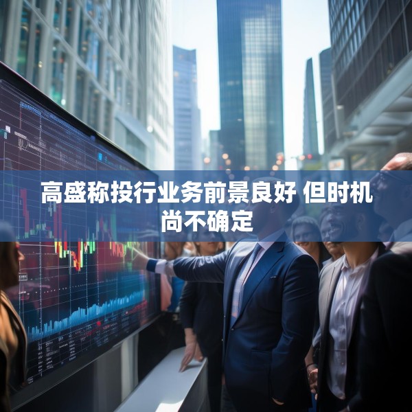 高盛称投行业务前景良好 但时机尚不确定