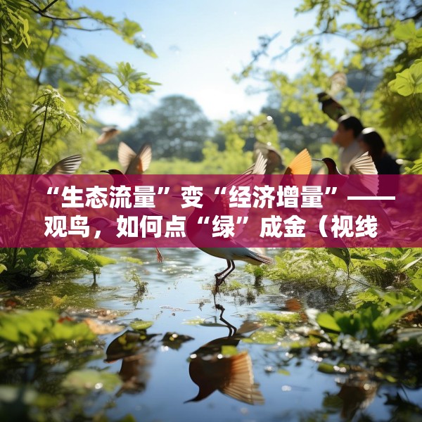 “生态流量”变“经济增量”——观鸟，如何点“绿”成金（视线）