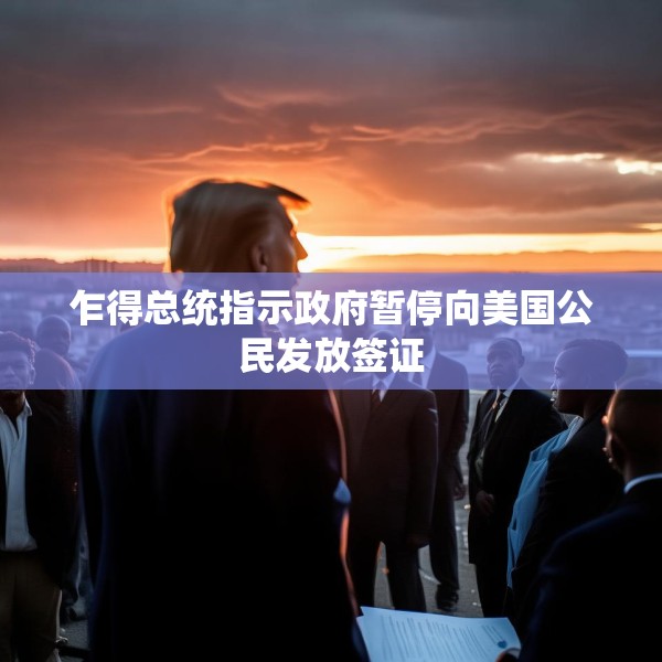 乍得总统指示政府暂停向美国公民发放签证