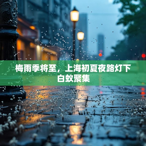 梅雨季将至，上海初夏夜路灯下白蚁聚集
