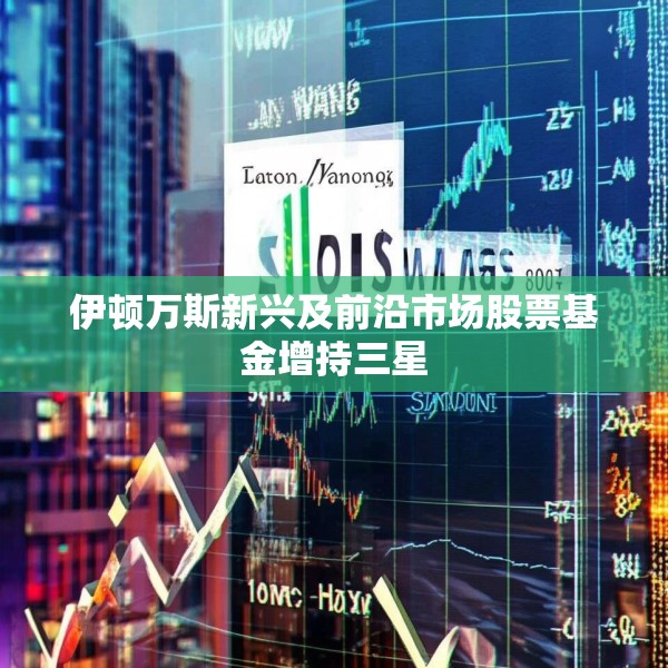 伊顿万斯新兴及前沿市场股票基金增持三星