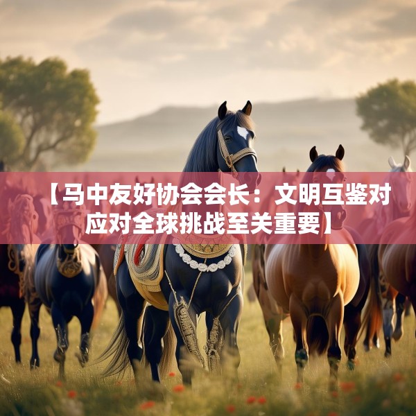 【马中友好协会会长：文明互鉴对应对全球挑战至关重要】