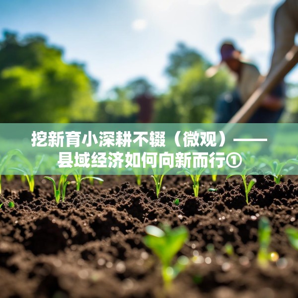 挖新育小深耕不辍（微观）——县域经济如何向新而行①