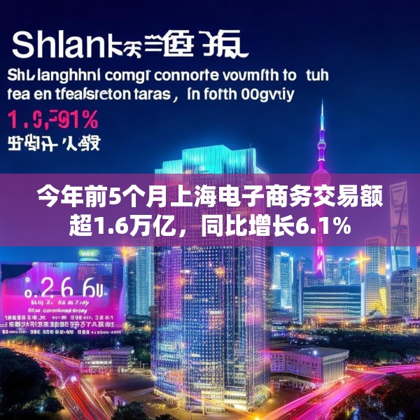 今年前5个月上海电子商务交易额超1.6万亿，同比增长6.1%